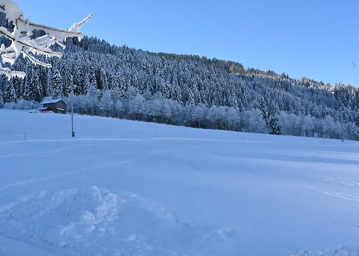 Appartamento Nicky And Niederau