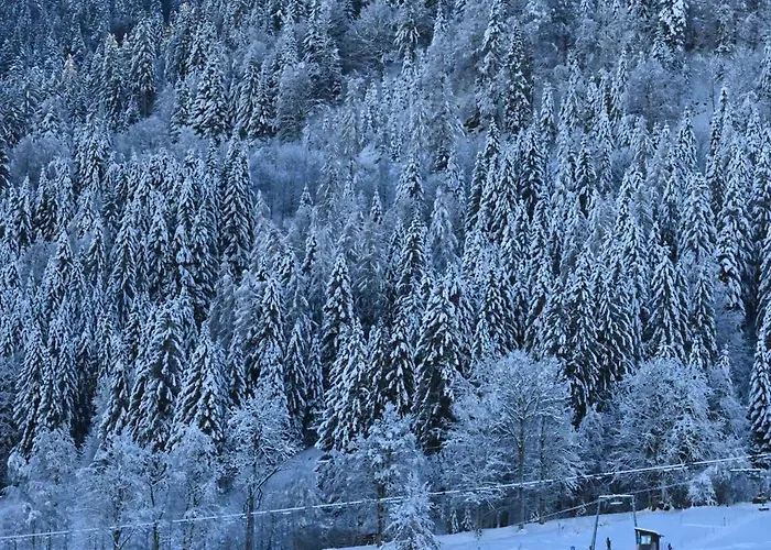 Nicky And アパート