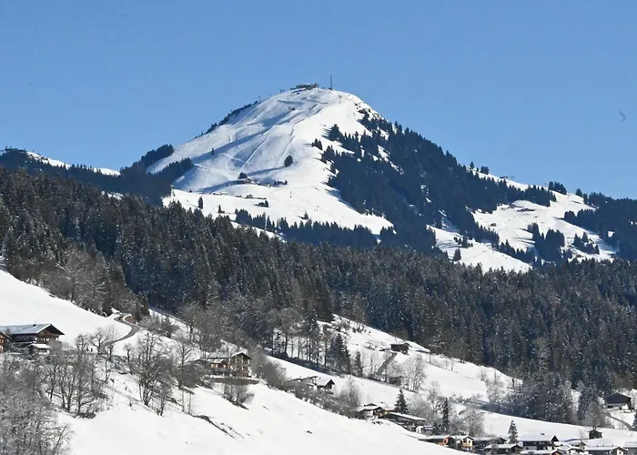 Nicky And * ニーデラウ