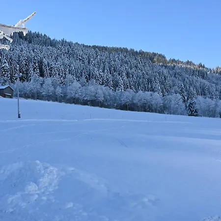 Apartmán Nicky And Niederau